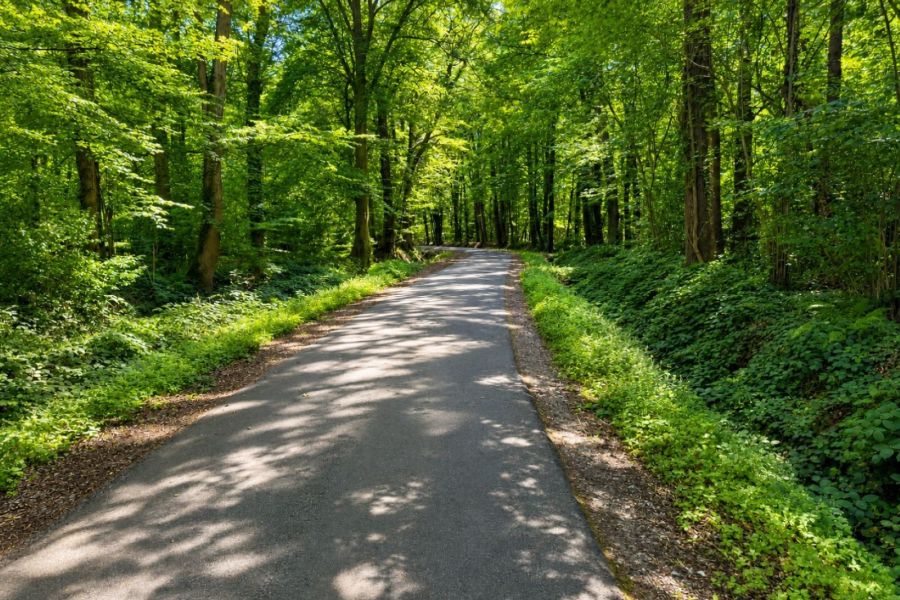 Ein naturnaher Weg durch den Wald nahe Ocholt