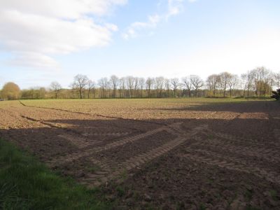 Leeres Baugrundstück in Harkebrügge