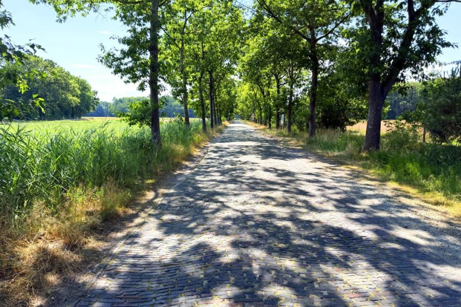 Historische Klinkerstraße in Ocholt